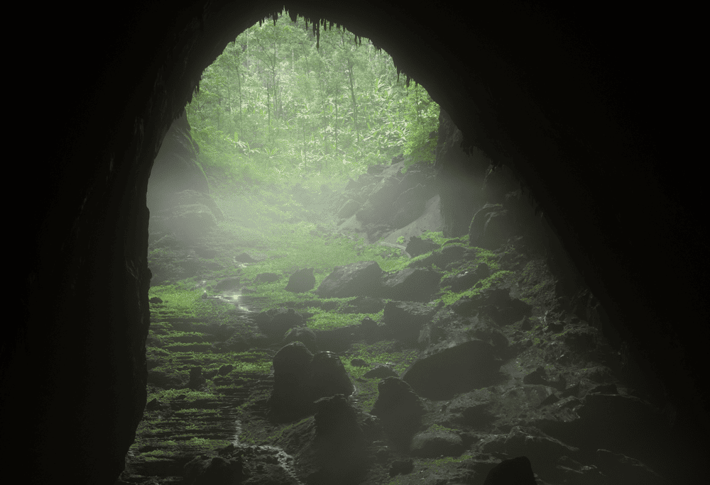 Oxalis Adventure is the only company authorized to run Son Doong expeditions (Source: Canva)